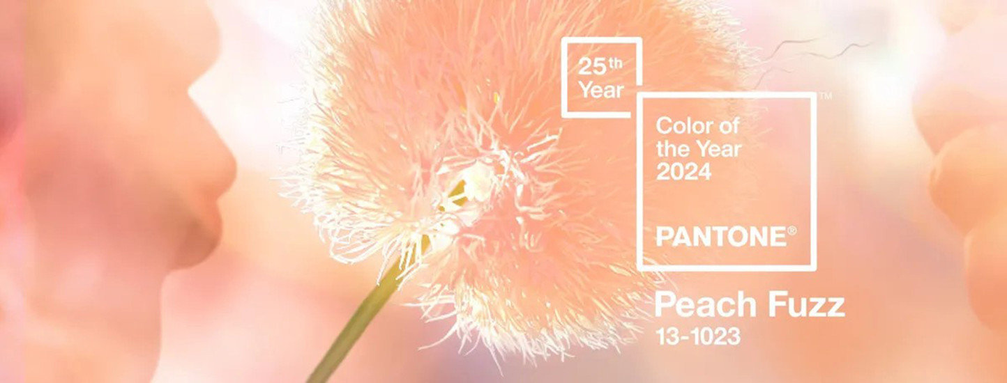 2024 PANTONE年度代表色